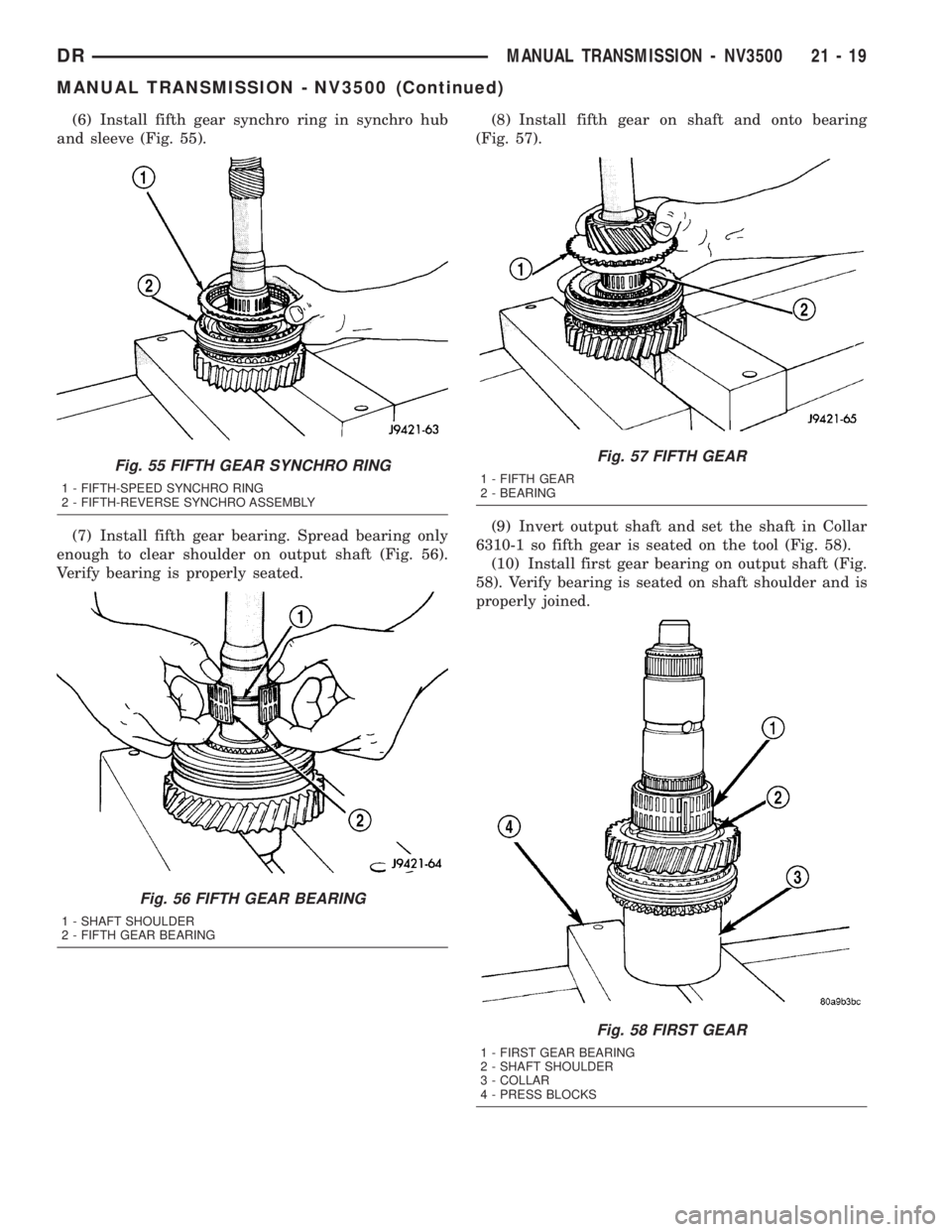 DODGE RAM 2003  Service Repair Manual (6) Install fifth gear synchro ring in synchro hub
and sleeve (Fig. 55).
(7) Install fifth gear bearing. Spread bearing only
enough to clear shoulder on output shaft (Fig. 56).
Verify bearing is prope