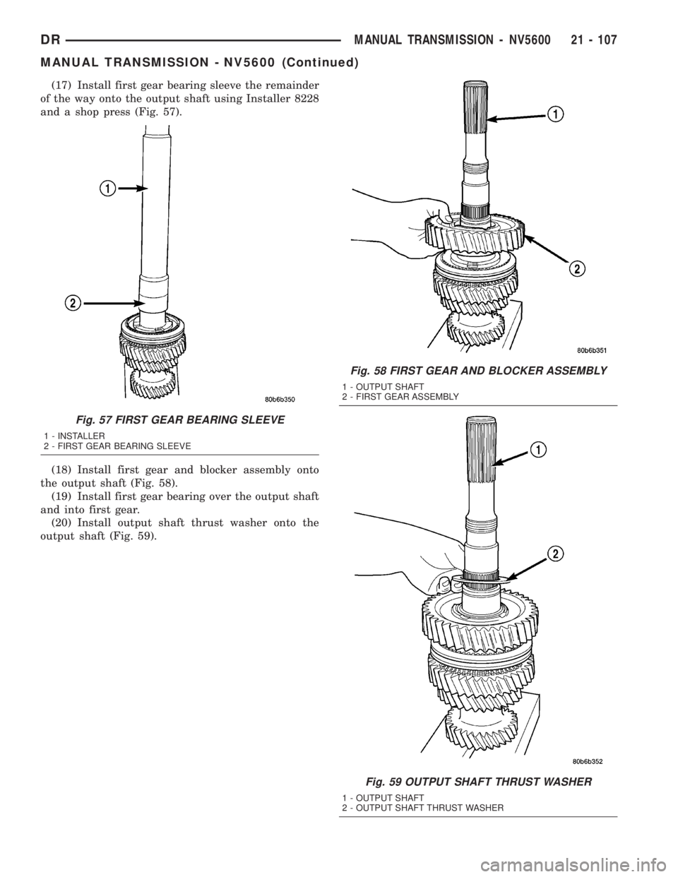 DODGE RAM 2003  Service Repair Manual (17) Install first gear bearing sleeve the remainder
of the way onto the output shaft using Installer 8228
and a shop press (Fig. 57).
(18) Install first gear and blocker assembly onto
the output shaf