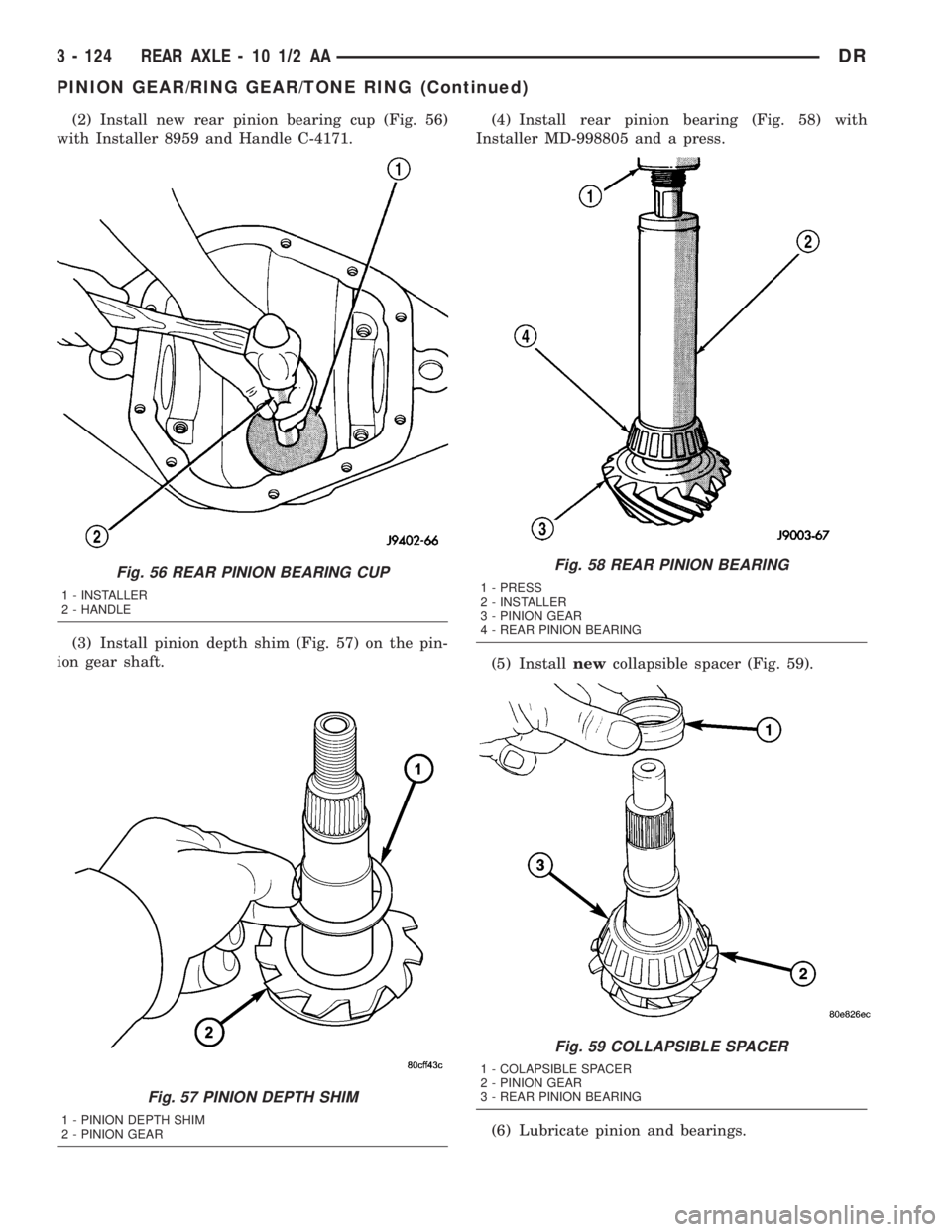 DODGE RAM 2003 Service Repair Manual (2) Install new rear pinion bearing cup (Fig. 56)
with Installer 8959 and Handle C-4171.
(3) Install pinion depth shim (Fig. 57) on the pin-
ion gear shaft.(4) Install rear pinion bearing (Fig. 58) wi DODGE RAM 2003 Service Repair Manual (2) Install new rear pinion bearing cup (Fig. 56)
with Installer 8959 and Handle C-4171.
(3) Install pinion depth shim (Fig. 57) on the pin-
ion gear shaft.(4) Install rear pinion bearing (Fig. 58) wi