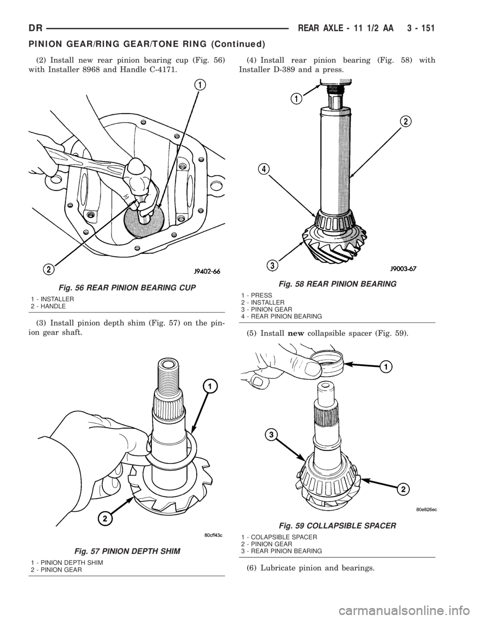 DODGE RAM 2003 Service Repair Manual (2) Install new rear pinion bearing cup (Fig. 56)
with Installer 8968 and Handle C-4171.
(3) Install pinion depth shim (Fig. 57) on the pin-
ion gear shaft.(4) Install rear pinion bearing (Fig. 58) wi DODGE RAM 2003 Service Repair Manual (2) Install new rear pinion bearing cup (Fig. 56)
with Installer 8968 and Handle C-4171.
(3) Install pinion depth shim (Fig. 57) on the pin-
ion gear shaft.(4) Install rear pinion bearing (Fig. 58) wi