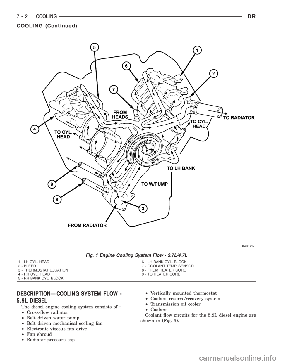 DODGE RAM 2003  Service Repair Manual DESCRIPTIONÐCOOLING SYSTEM FLOW -
5.9L DIESEL
The diesel engine cooling system consists of :
²Cross-flow radiator
²Belt driven water pump
²Belt driven mechanical cooling fan
²Electronic viscous f