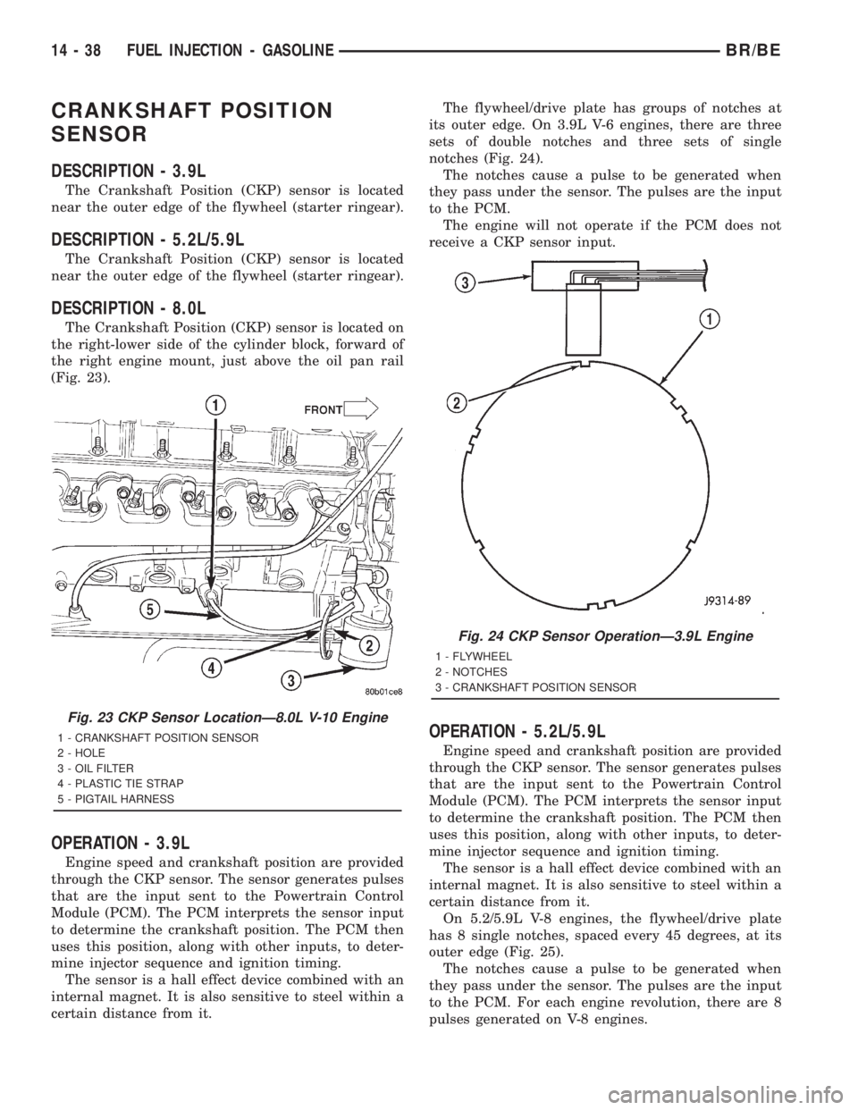 DODGE RAM 2001  Service Repair Manual CRANKSHAFT POSITION
SENSOR
DESCRIPTION - 3.9L
The Crankshaft Position (CKP) sensor is located
near the outer edge of the flywheel (starter ringear).
DESCRIPTION - 5.2L/5.9L
The Crankshaft Position (CK
