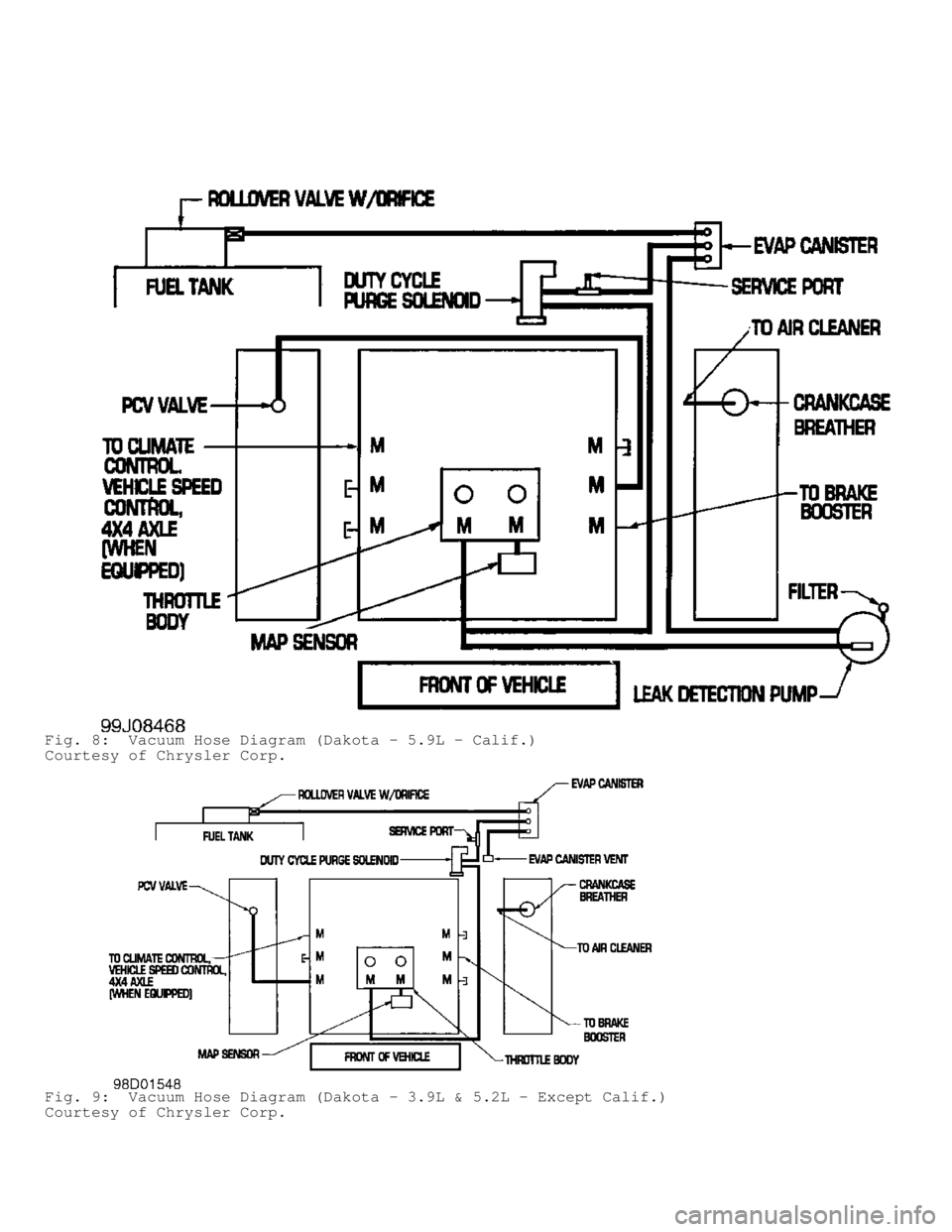 DODGE RAM 1999  Service Repair Manual Fig. 8:  Vacuum Hose Diagram (Dakota - 5.9L - Calif.)
Courtesy of Chrysler Corp.
Fig. 9:  Vacuum Hose Diagram (Dakota - 3.9L & 5.2L - Except Calif.)
Courtesy of Chrysler Corp.                         