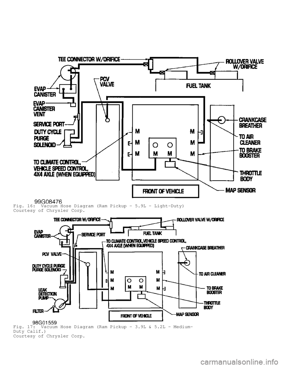DODGE RAM 1999  Service Repair Manual Fig. 16:  Vacuum Hose Diagram (Ram Pickup - 5.9L - Light-Duty)
Courtesy of Chrysler Corp.
Fig. 17:  Vacuum Hose Diagram (Ram Pickup - 3.9L & 5.2L - Medium-
Duty Calif.)
Courtesy of Chrysler Corp.     