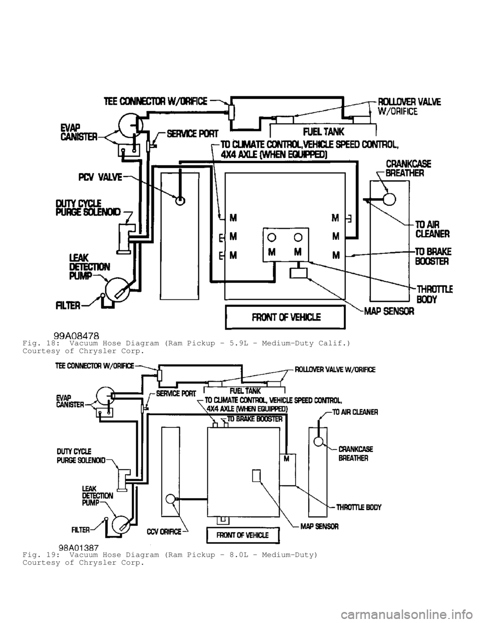 DODGE RAM 1999  Service Repair Manual Fig. 18:  Vacuum Hose Diagram (Ram Pickup - 5.9L - Medium-Duty Calif.)\
Courtesy of Chrysler Corp.
Fig. 19:  Vacuum Hose Diagram (Ram Pickup - 8.0L - Medium-Duty)
Courtesy of Chrysler Corp.          