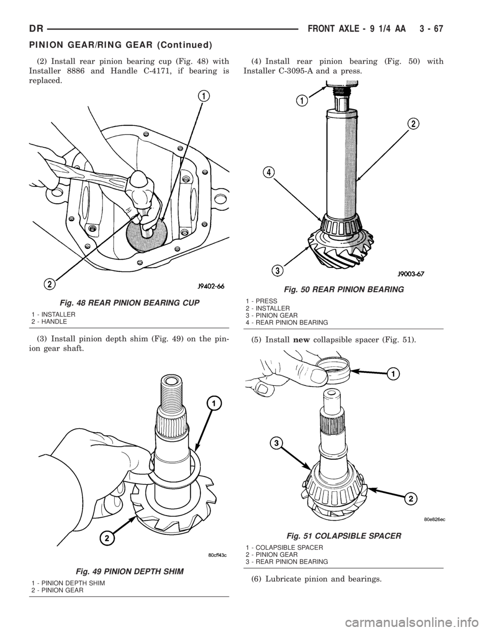 DODGE RAM 2003  Service Repair Manual (2) Install rear pinion bearing cup (Fig. 48) with
Installer 8886 and Handle C-4171, if bearing is
replaced.
(3) Install pinion depth shim (Fig. 49) on the pin-
ion gear shaft.(4) Install rear pinion 