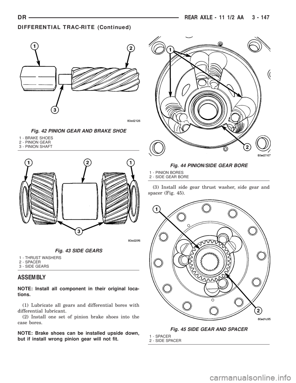 DODGE RAM 2003  Service Repair Manual ASSEMBLY
NOTE: Install all component in their original loca-
tions.
(1) Lubricate all gears and differential bores with
differential lubricant.
(2) Install one set of pinion brake shoes into the
case 