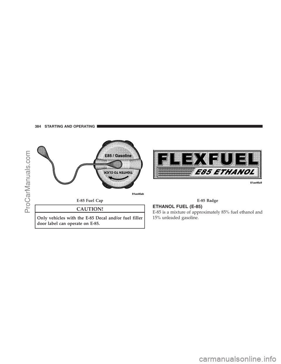 DODGE CARAVAN 2009 Owners Manual CAUTION!
Only vehicles with the E-85 Decal and/or fuel filler
door label can operate on E-85.
ETHANOL FUEL (E-85)
E-85 is a mixture of approximately 85% fuel ethanol and
15% unleaded gasoline.
E-85 Fu DODGE CARAVAN 2009 Owners Manual CAUTION!
Only vehicles with the E-85 Decal and/or fuel filler
door label can operate on E-85.
ETHANOL FUEL (E-85)
E-85 is a mixture of approximately 85% fuel ethanol and
15% unleaded gasoline.
E-85 Fu