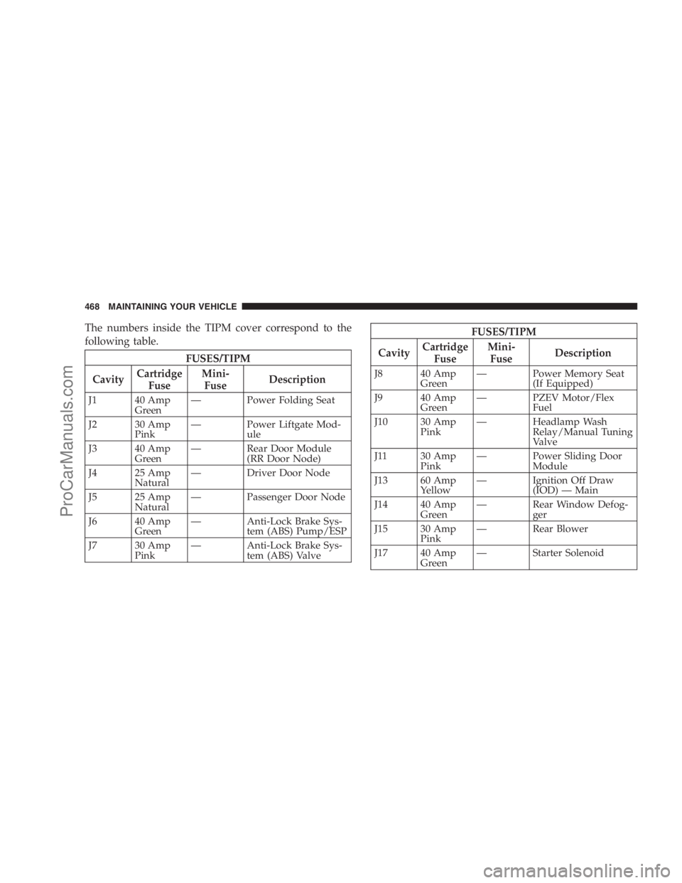 DODGE CARAVAN 2009  Owners Manual The numbers inside the TIPM cover correspond to the
following table.
FUSES/TIPM
CavityCartridge
FuseMini-
FuseDescription
J1 40 Amp
Green— Power Folding Seat
J2 30 Amp
Pink— Power Liftgate Mod-
ul