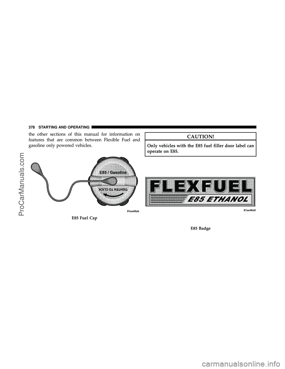 DODGE CARAVAN 2010 Owners Manual the other sections of this manual for information on
features that are common between Flexible Fuel and
gasoline only powered vehicles.CAUTION!
Only vehicles with the E85 fuel filler door label can
op DODGE CARAVAN 2010 Owners Manual the other sections of this manual for information on
features that are common between Flexible Fuel and
gasoline only powered vehicles.CAUTION!
Only vehicles with the E85 fuel filler door label can
op