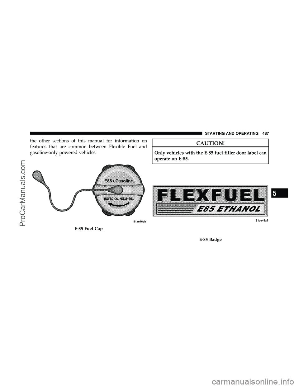 DODGE CARAVAN 2012 Owners Manual the other sections of this manual for information on
features that are common between Flexible Fuel and
gasoline-only powered vehicles.CAUTION!
Only vehicles with the E-85 fuel filler door label can
o DODGE CARAVAN 2012 Owners Manual the other sections of this manual for information on
features that are common between Flexible Fuel and
gasoline-only powered vehicles.CAUTION!
Only vehicles with the E-85 fuel filler door label can
o