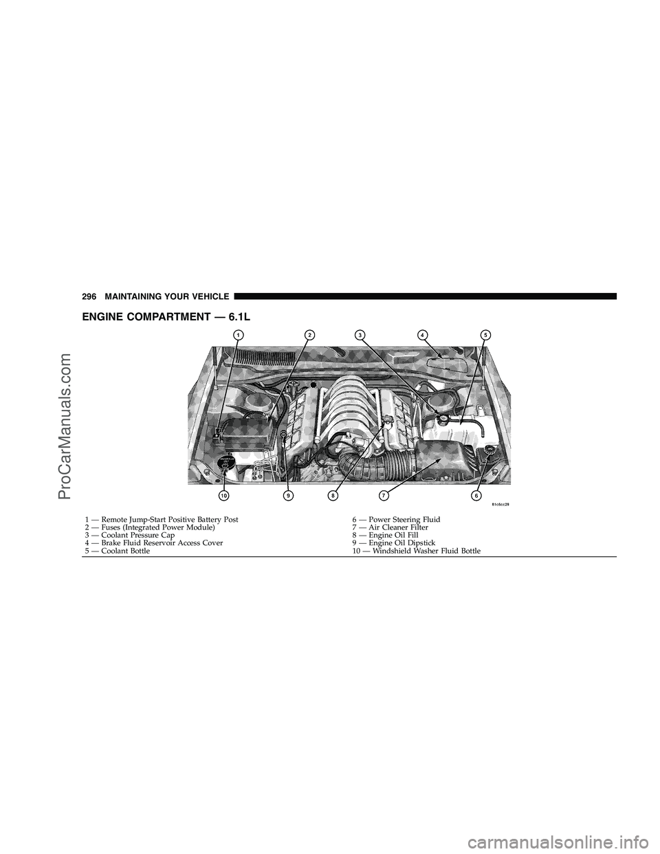 DODGE CHALLENGER 2008  Owners Manual ENGINE COMPARTMENT — 6.1L
1 — Remote Jump-Start Positive Battery Post 6 — Power Steering Fluid
2 — Fuses (Integrated Power Module) 7 — Air Cleaner Filter
3 — Coolant Pressure Cap 8 — Eng