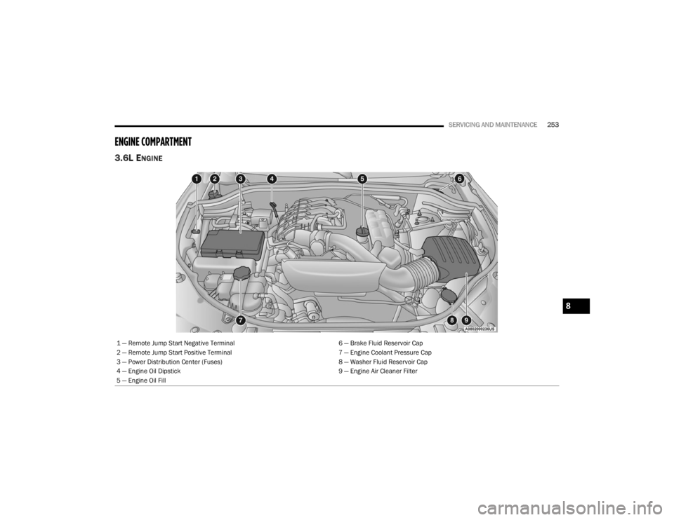 DODGE DURANGO 2023  Owners Manual 
SERVICING AND MAINTENANCE253
ENGINE COMPARTMENT  
3.6L ENGINE
1 — Remote Jump Start Negative Terminal 6 — Brake Fluid Reservoir Cap
2 — Remote Jump Start Positive Terminal 7 — Engine Coolant 