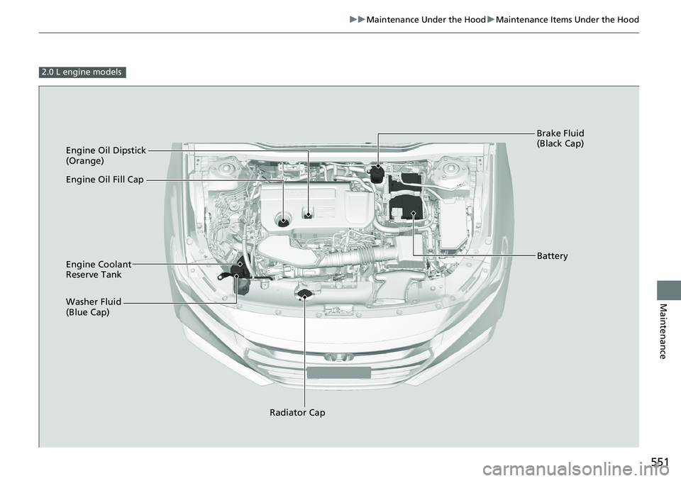 HONDA ACCORD SEDAN 2021  Owners Manual (in English) 551
uuMaintenance Under the Hood uMaintenance Items Under the Hood
Maintenance
2.0 L engine models
Engine Oil Dipstick 
(Orange)
Washer Fluid 
(Blue Cap) Engine Coolant 
Reserve Tank
Radiator Cap Brak