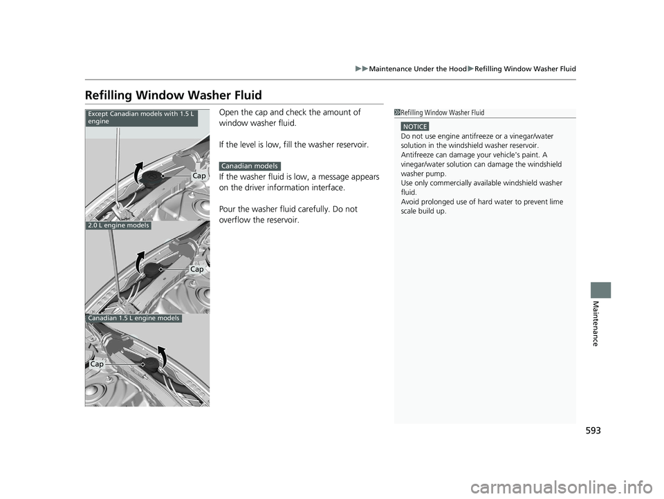 HONDA CIVIC HATCHBACK 2021  Owners Manual (in English) 593
uuMaintenance Under the Hood uRefilling Window Washer Fluid
Maintenance
Refilling Window Washer Fluid
Open the cap and check the amount of 
window washer fluid.
If the level is low, fill the washe