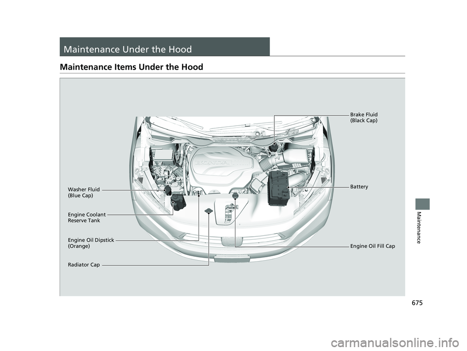 HONDA ODYSSEY 2021  Owners Manual (in English) 675
Maintenance
Maintenance Under the Hood
Maintenance Items Under the Hood
Engine Oil Dipstick 
(Orange) Washer Fluid 
(Blue Cap)
Engine Coolant 
Reserve Tank
Radiator Cap Brake Fluid 
(Black Cap)
En