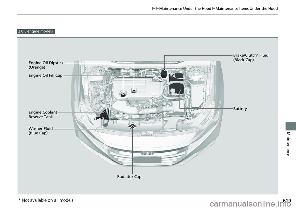 HONDA ACCORD SEDAN 2020  Owners Manual (in English) 619
uuMaintenance Under the Hood uMaintenance Items Under the Hood
Maintenance
2.0 L engine models
Engine Oil Dipstick 
(Orange)
Washer Fluid 
(Blue Cap) Engine Coolant 
Reserve Tank
Radiator Cap Brak