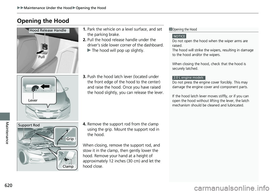 HONDA ACCORD SEDAN 2020 (in English) User Guide 620
uuMaintenance Under the Hood uOpening the Hood
Maintenance
Opening the Hood
1. Park the vehicle on a level surface, and set
the parking brake.
2. Pull the hood release handle under the
driver’ HONDA ACCORD SEDAN 2020 (in English) User Guide 620
uuMaintenance Under the Hood uOpening the Hood
Maintenance
Opening the Hood
1. Park the vehicle on a level surface, and set
the parking brake.
2. Pull the hood release handle under the
driver’