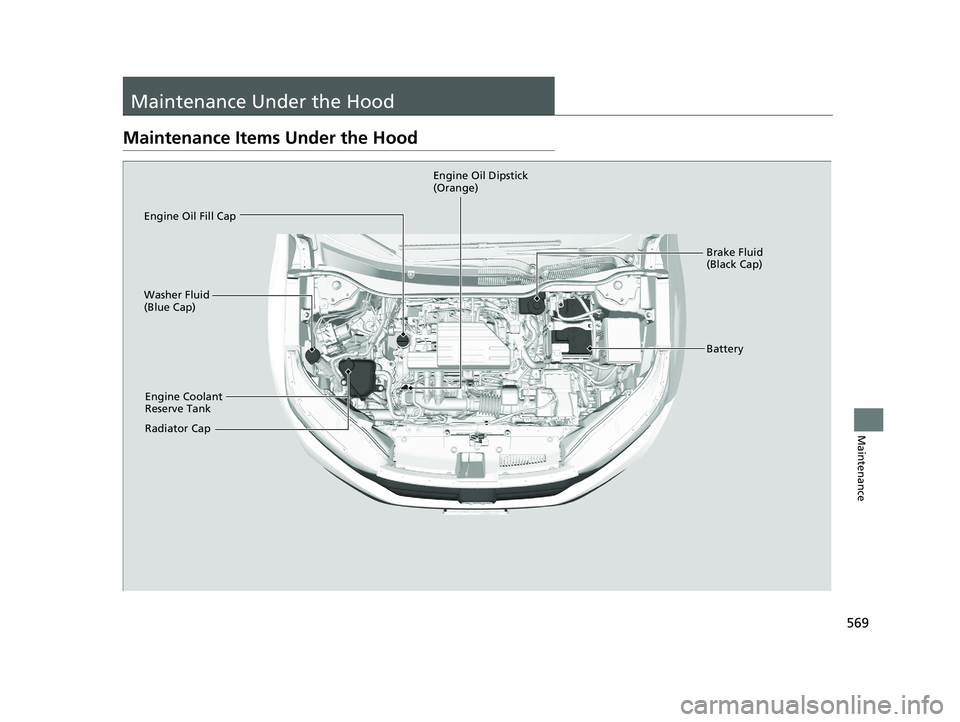 HONDA CR-V 2020  Owners Manual (in English) 569
Maintenance
Maintenance Under the Hood
Maintenance Items Under the Hood
Brake Fluid 
(Black Cap)
Engine Coolant 
Reserve Tank
Radiator Cap
Washer Fluid 
(Blue Cap)
Engine Oil Dipstick 
(Orange)
En