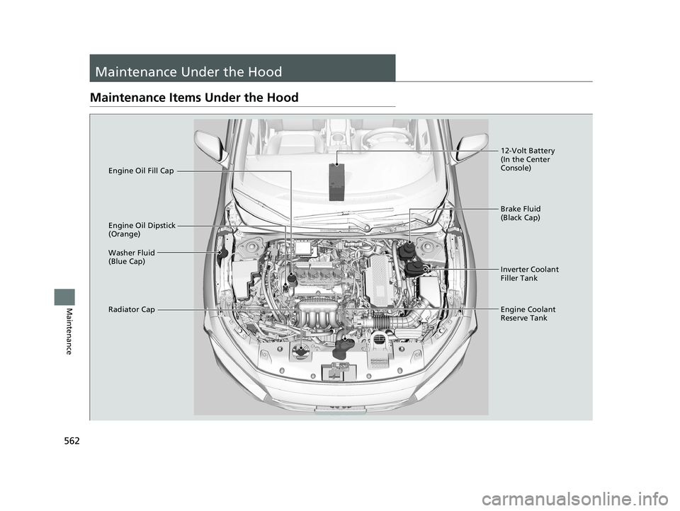 HONDA INSIGHT 2020  Owners Manual (in English) 562
Maintenance
Maintenance Under the Hood
Maintenance Items Under the Hood
Brake Fluid 
(Black Cap)
Engine Coolant 
Reserve Tank
Radiator Cap Washer Fluid 
(Blue Cap) Engine Oil Dipstick 
(Orange) En