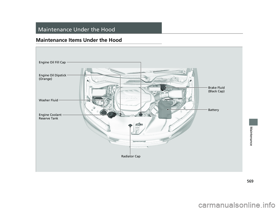 HONDA PASSPORT 2020 (in English) User Guide 569
Maintenance
Maintenance Under the Hood
Maintenance Items Under the Hood
Brake Fluid
(Black Cap)
Washer Fluid
Radiator Cap
Engine Coolant
Reserve Tank Engine Oil Dipstick
(Orange) Engine Oil Fil HONDA PASSPORT 2020 (in English) User Guide 569
Maintenance
Maintenance Under the Hood
Maintenance Items Under the Hood
Brake Fluid
(Black Cap)
Washer Fluid
Radiator Cap
Engine Coolant
Reserve Tank Engine Oil Dipstick
(Orange) Engine Oil Fil