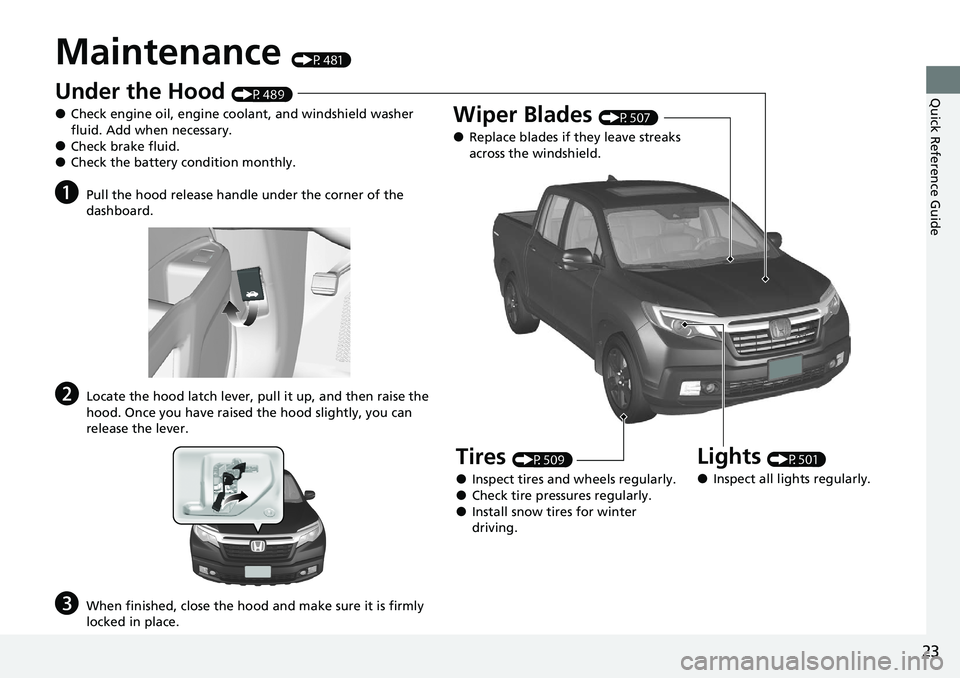 HONDA RIDGELINE 2020   (in English) Owners Guide 23
Quick Reference Guide
Maintenance (P481)
Under the Hood (P489)
●Check engine oil, engine coolant, and windshield washer 
fluid. Add when necessary.
●Check brake fluid.●Check the battery condi
