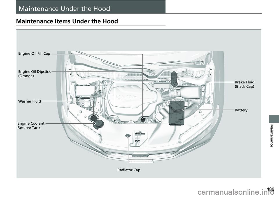 HONDA RIDGELINE 2020  Owners Manual (in English) 489
Maintenance
Maintenance Under the Hood
Maintenance Items Under the Hood
Brake Fluid 
(Black Cap)
Washer Fluid
Radiator Cap
Engine Coolant 
Reserve Tank Engine Oil Dipstick 
(Orange) Engine Oil Fil