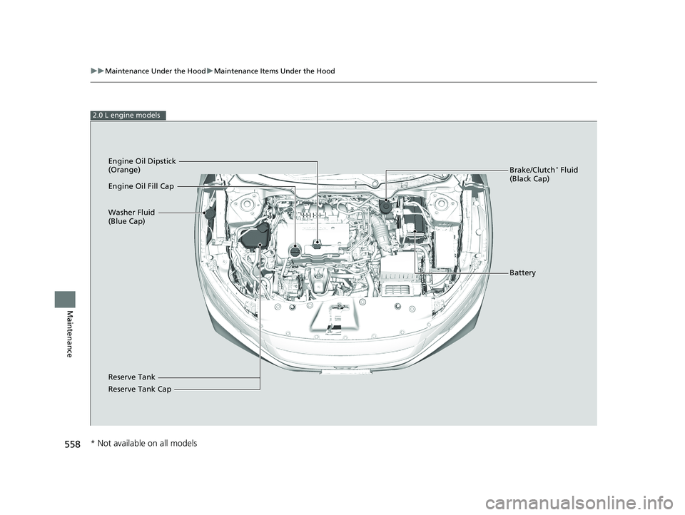 HONDA CIVIC SEDAN 2019 Owners Manual (in English) 558
uuMaintenance Under the Hood uMaintenance Items Under the Hood
Maintenance
2.0 L engine models
Brake/Clutch* Fluid
(Black Cap)
Reserve Tank Washer Fluid
(Blue Cap) Engine Oil Dipstick
(Orange)
HONDA CIVIC SEDAN 2019 Owners Manual (in English) 558
uuMaintenance Under the Hood uMaintenance Items Under the Hood
Maintenance
2.0 L engine models
Brake/Clutch* Fluid
(Black Cap)
Reserve Tank Washer Fluid
(Blue Cap) Engine Oil Dipstick
(Orange)