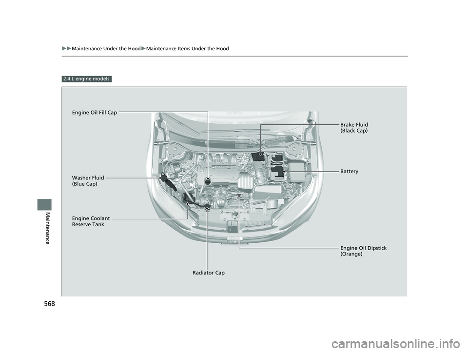 HONDA CR-V 2019  Owners Manual (in English) 568
uuMaintenance Under the Hood uMaintenance Items Under the Hood
Maintenance
2.4 L engine models
Brake Fluid 
(Black Cap)
Engine Coolant 
Reserve Tank Radiator Cap
Washer Fluid 
(Blue Cap)
Engine Oi