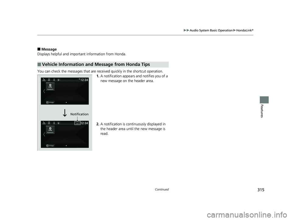 HONDA INSIGHT 2019  Owners Manual (in English) 315
uuAudio System Basic Operation uHondaLink ®
Continued
Features
■Message
Displays helpful and important information from Honda.
You can check the messages that are receiv ed quickly in the short
