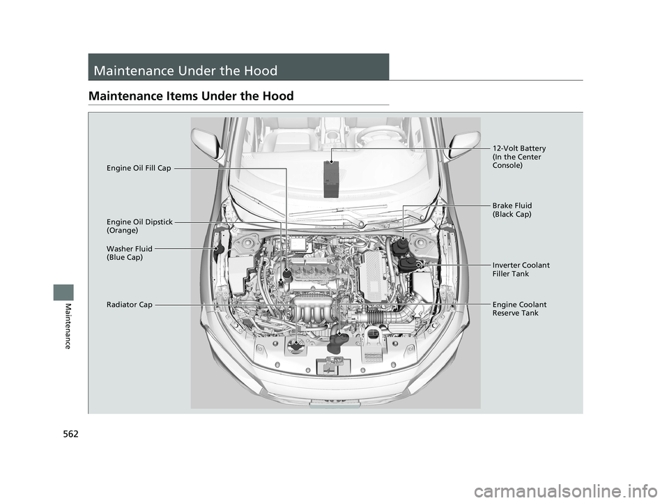 HONDA INSIGHT 2019 Owners Manual (in English) 562
Maintenance
Maintenance Under the Hood
Maintenance Items Under the Hood
Brake Fluid
(Black Cap)
Engine Coolant
Reserve Tank
Radiator Cap Washer Fluid
(Blue Cap) Engine Oil Dipstick
(Orange) En HONDA INSIGHT 2019 Owners Manual (in English) 562
Maintenance
Maintenance Under the Hood
Maintenance Items Under the Hood
Brake Fluid
(Black Cap)
Engine Coolant
Reserve Tank
Radiator Cap Washer Fluid
(Blue Cap) Engine Oil Dipstick
(Orange) En