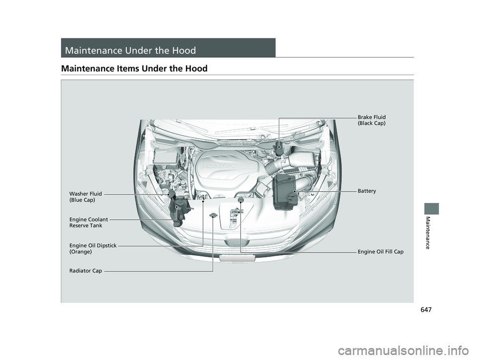 HONDA ODYSSEY 2019   (in English) User Guide 647
Maintenance
Maintenance Under the Hood
Maintenance Items Under the Hood
Engine Oil Dipstick 
(Orange) Washer Fluid 
(Blue Cap)
Engine Coolant 
Reserve Tank
Radiator CapBrake Fluid 
(Black Cap)
Eng