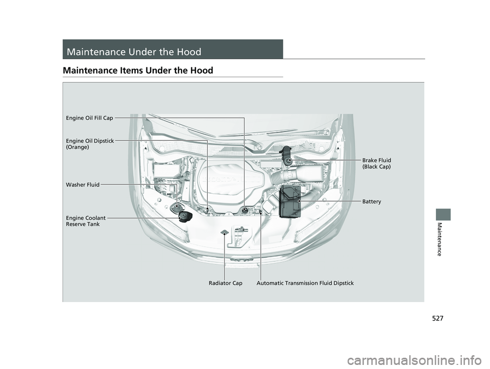 HONDA RIDGELINE 2019 Owners Manual (in English) 527
Maintenance
Maintenance Under the Hood
Maintenance Items Under the Hood
Brake Fluid
(Black Cap)
Washer Fluid
Radiator Cap
Engine Coolant
Reserve Tank Engine Oil Dipstick
(Orange) Engine Oil Fil HONDA RIDGELINE 2019 Owners Manual (in English) 527
Maintenance
Maintenance Under the Hood
Maintenance Items Under the Hood
Brake Fluid
(Black Cap)
Washer Fluid
Radiator Cap
Engine Coolant
Reserve Tank Engine Oil Dipstick
(Orange) Engine Oil Fil