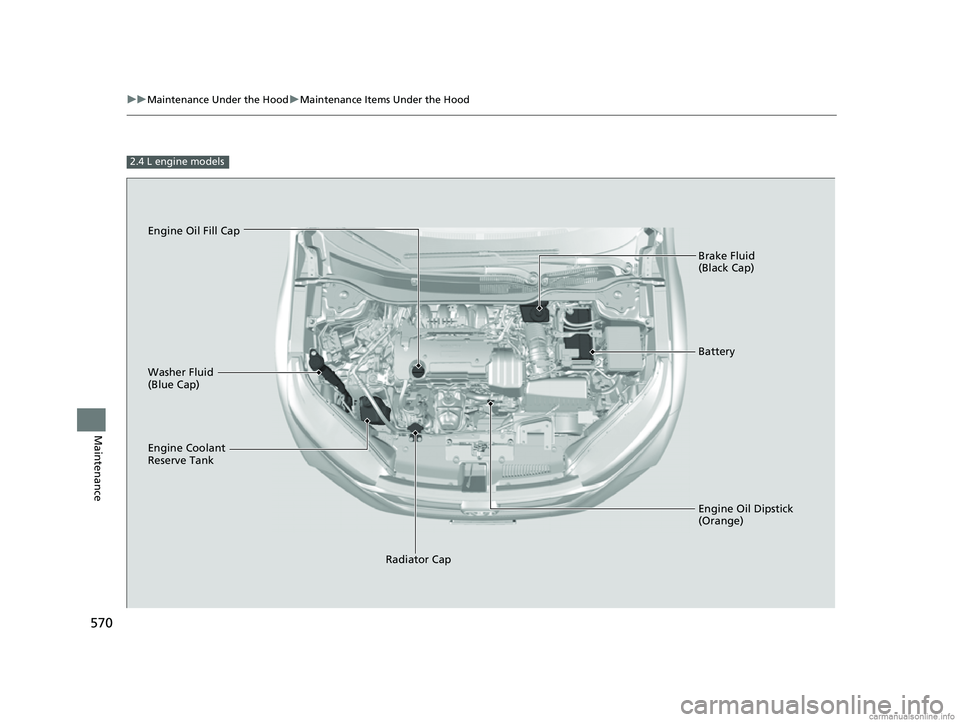 HONDA CR-V 2018 Owners Manual (in English) 570
uuMaintenance Under the Hood uMaintenance Items Under the Hood
Maintenance
2.4 L engine models
Brake Fluid
(Black Cap)
Engine Coolant
Reserve Tank Radiator Cap
Washer Fluid
(Blue Cap)
Engine Oi HONDA CR-V 2018 Owners Manual (in English) 570
uuMaintenance Under the Hood uMaintenance Items Under the Hood
Maintenance
2.4 L engine models
Brake Fluid
(Black Cap)
Engine Coolant
Reserve Tank Radiator Cap
Washer Fluid
(Blue Cap)
Engine Oi