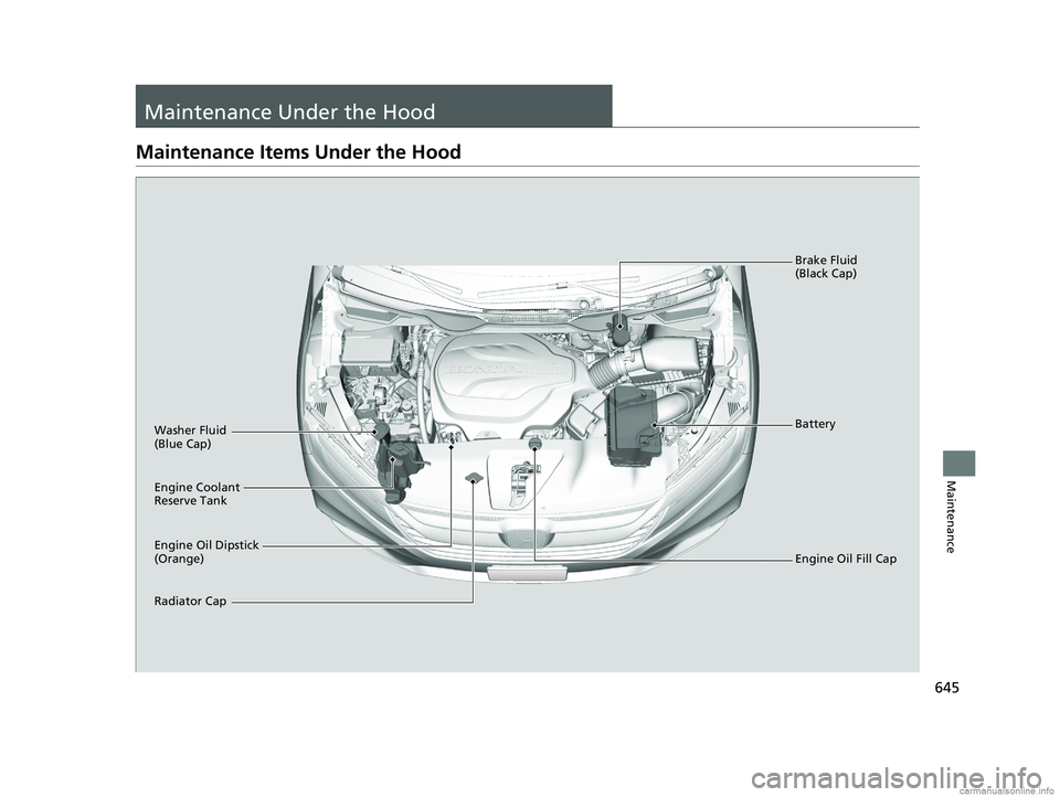 HONDA ODYSSEY 2018 Owners Manual (in English) 645
Maintenance
Maintenance Under the Hood
Maintenance Items Under the Hood
Engine Oil Dipstick
(Orange) Washer Fluid
(Blue Cap)
Engine Coolant
Reserve Tank
Radiator CapBrake Fluid
(Black Cap)
Eng HONDA ODYSSEY 2018 Owners Manual (in English) 645
Maintenance
Maintenance Under the Hood
Maintenance Items Under the Hood
Engine Oil Dipstick
(Orange) Washer Fluid
(Blue Cap)
Engine Coolant
Reserve Tank
Radiator CapBrake Fluid
(Black Cap)
Eng