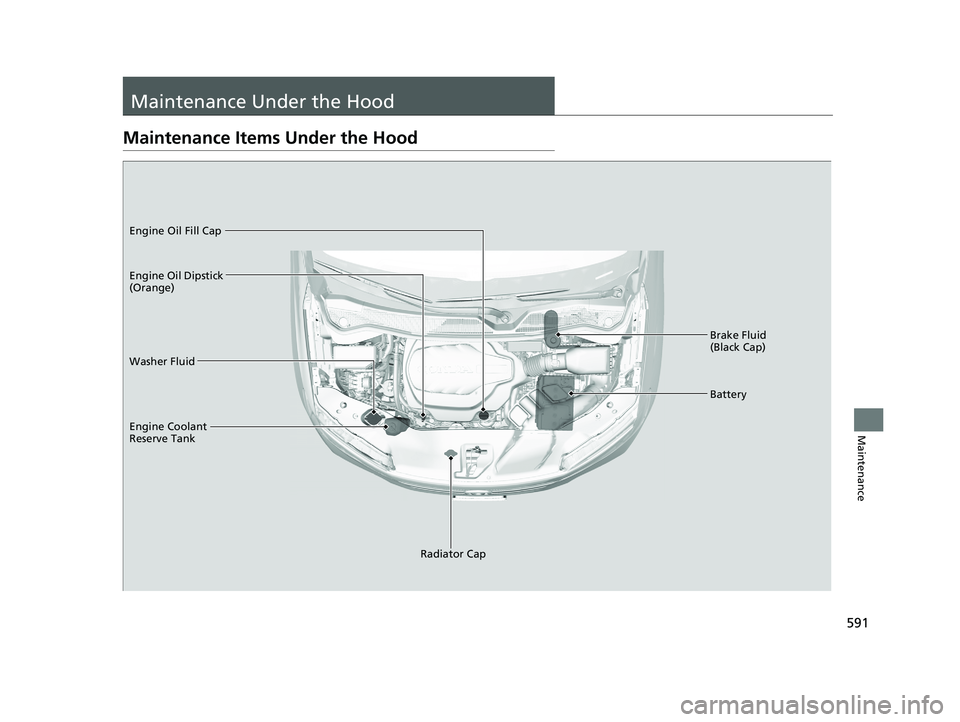 HONDA PILOT 2018  Owners Manual (in English) 591
Maintenance
Maintenance Under the Hood
Maintenance Items Under the Hood
Brake Fluid 
(Black Cap)
Washer Fluid
Radiator Cap
Engine Coolant 
Reserve Tank Engine Oil Dipstick 
(Orange) Engine Oil Fil