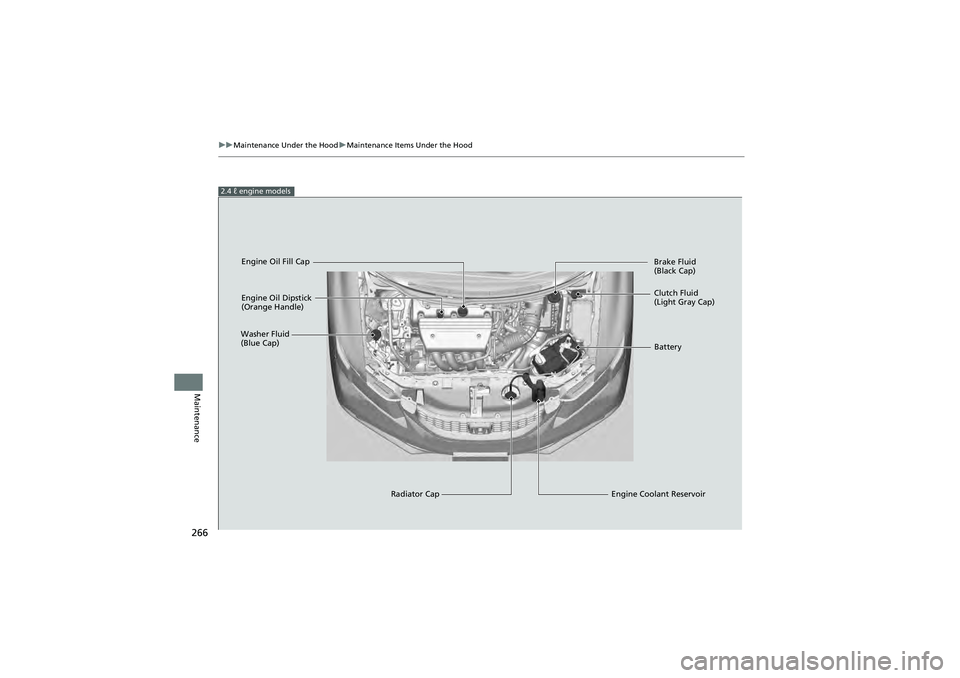 HONDA CIVIC SEDAN 2013 Owners Manual (in English) 266
uuMaintenance Under the Hood uMaintenance Items Under the Hood
Maintenance
2.4 ℓ engine models
Engine Oil Dipstick
(Orange Handle)
Washer Fluid
(Blue Cap)
Engine Coolant Reservoir
Radiator Cap HONDA CIVIC SEDAN 2013 Owners Manual (in English) 266
uuMaintenance Under the Hood uMaintenance Items Under the Hood
Maintenance
2.4 ℓ engine models
Engine Oil Dipstick
(Orange Handle)
Washer Fluid
(Blue Cap)
Engine Coolant Reservoir
Radiator Cap