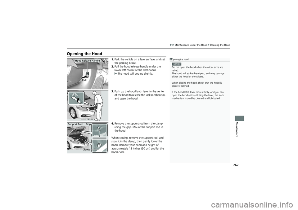 HONDA CIVIC SEDAN 2013 Owners Manual (in English) 267
uuMaintenance Under the Hood uOpening the Hood
Maintenance
Opening the Hood
1. Park the vehicle on a level surface, and set
the parking brake.
2. Pull the hood release handle under the
lower lef HONDA CIVIC SEDAN 2013 Owners Manual (in English) 267
uuMaintenance Under the Hood uOpening the Hood
Maintenance
Opening the Hood
1. Park the vehicle on a level surface, and set
the parking brake.
2. Pull the hood release handle under the
lower lef