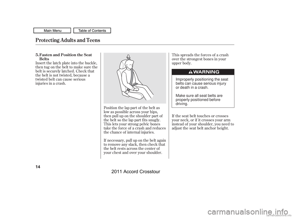 HONDA CROSSTOUR 2011   (in English) User Guide If the seat belt touches or crosses
your neck, or if it crosses your arm
instead of your shoulder, you need to
adjust the seat belt anchor height.
Insert the latch plate into the buckle,
then tug on t