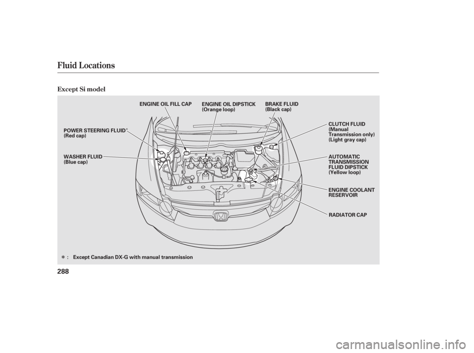 HONDA CIVIC SEDAN 2011  Owners Manual (in English) Î
Î
Fluid Locations
Except Si model
288
RADIATOR CAP
AUTOMATIC
TRANSMISSION
FLUID DIPSTICK
(Yellow loop)
ENGINE COOLANT
RESERVOIR CLUTCH FLUID
(Manual
Transmission only)
(Light gray cap)
WASHER FL