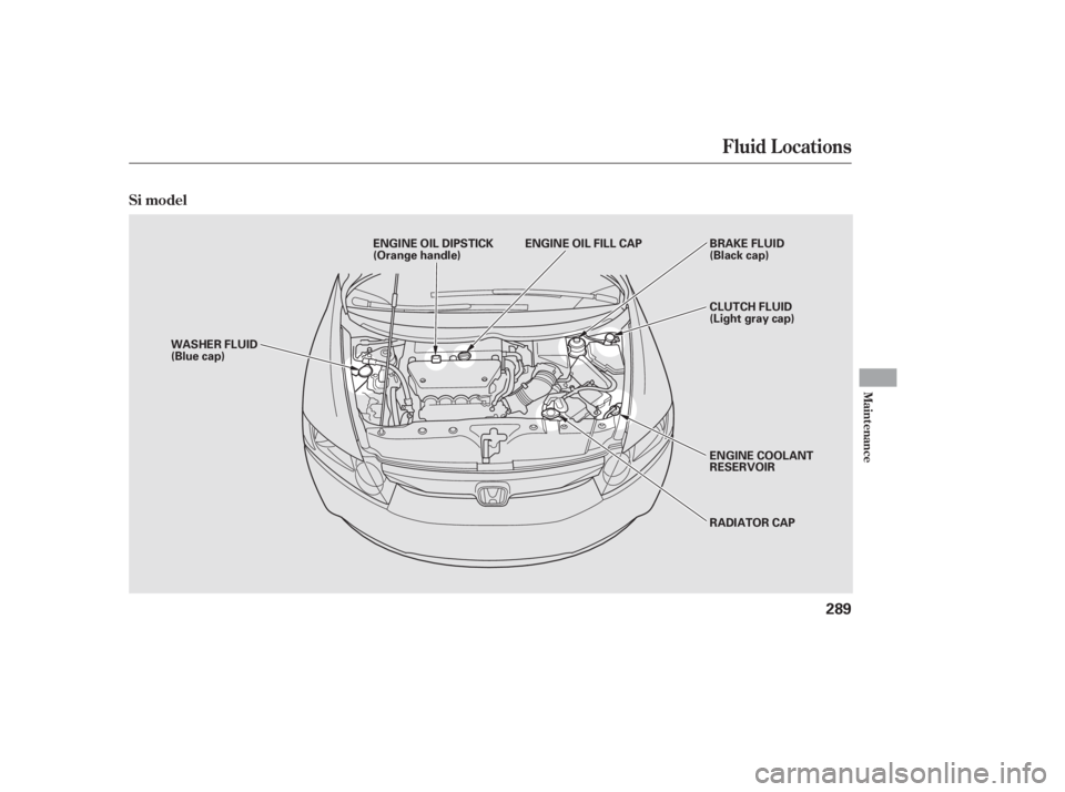 HONDA CIVIC SEDAN 2011  Owners Manual (in English) Fluid Locations
Maint enance
Si model
289
RADIATOR CAP
WASHER FLUID
(Blue cap)
ENGINE COOLANT
RESERVOIR CLUTCH FLUID
(Light gray cap)
ENGINE OIL DIPSTICK
(Orange handle)
BRAKE FLUID
(Black cap)
ENGINE