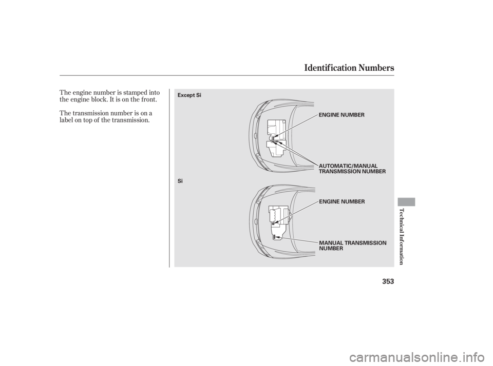HONDA CIVIC SEDAN 2011  Owners Manual (in English) The engine number is stamped into
the engine block. It is on the f ront.
The transmission number is on a
label on top of the transmission.
Identif ication Numbers
Technical Inf ormation
353
MANUAL TRA