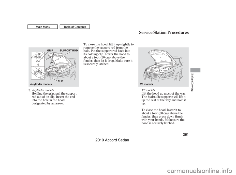 HONDA ACCORD SEDAN 2010  Owners Manual (in English) Holding the grip, pull the support 
rod out of its clip. Insert the end
into the hole in the hood
designated by an arrow.
Lif t the hood up most of the way.
The hydraulic supports will lif t it
upther