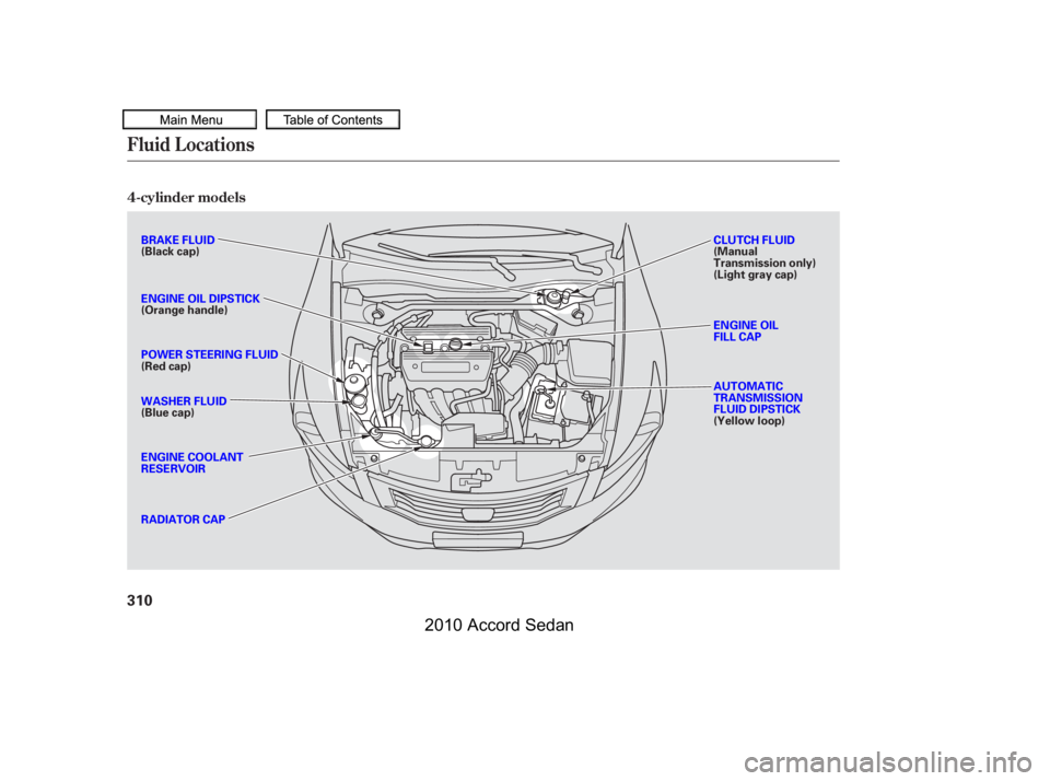 HONDA ACCORD SEDAN 2010  Owners Manual (in English) Fluid Locations
4-cylinder models
310
ENGINE OIL FILL CAP 
CLUTCH FLUID (ManualTransmission only)(Light gray cap) 
AUTOMATIC TRANSMISSIONFLUID DIPSTICK(Yellow loop)
BRAKE FLUID(Black cap) 
ENGINE OIL 