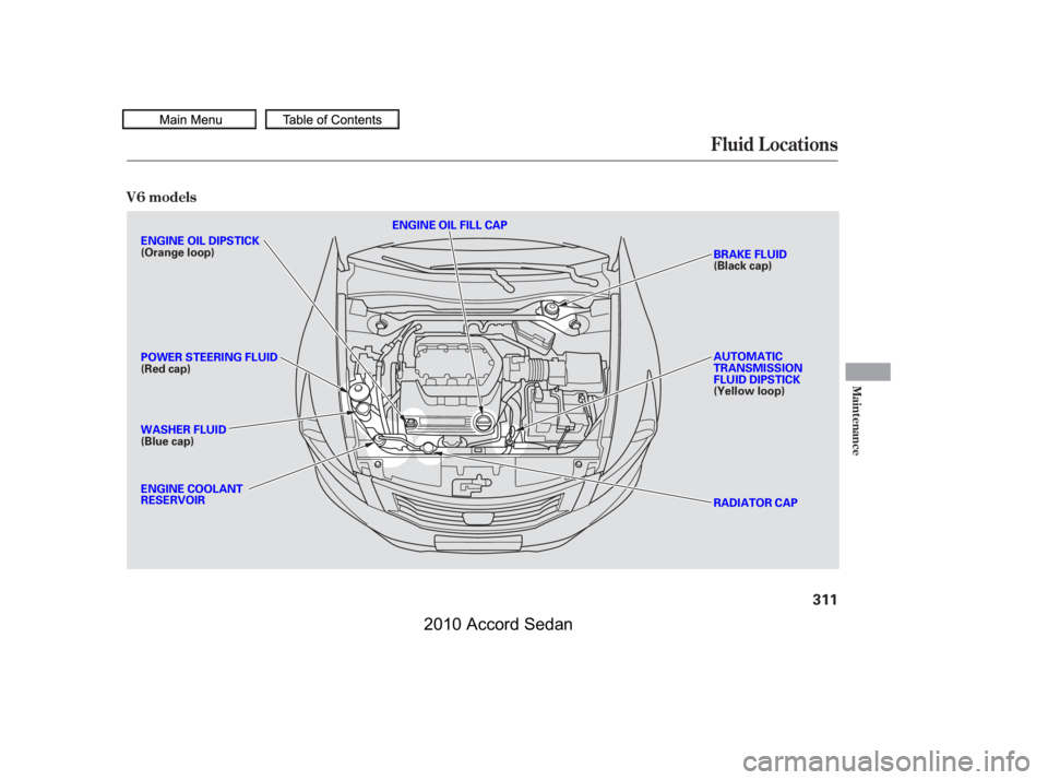 HONDA ACCORD SEDAN 2010  Owners Manual (in English) Fluid Locations
V6 models
Maint enance
311
ENGINE OIL FILL CAP
BRAKE FLUID (Black cap) 
AUTOMATIC TRANSMISSIONFLUID DIPSTICK(Yellow loop) 
RADIATOR CAP
ENGINE OIL DIPSTICK (Orange loop) 
POWER STEERIN