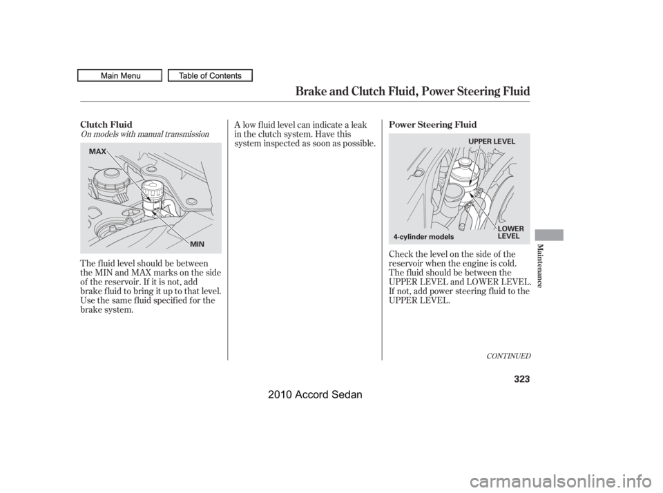 HONDA ACCORD SEDAN 2010  Owners Manual (in English) Check the level on the side of the 
reservoir when the engine is cold.
The f luid should be between the
UPPER LEVEL and LOWER LEVEL.
If not, add power steering f luid to the
UPPER LEVEL.
The f luid le