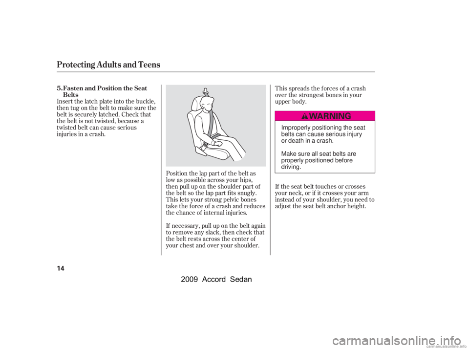 HONDA ACCORD SEDAN 2009   (in English) User Guide If the seat belt touches or crosses 
your neck, or if it crosses your arm
instead of your shoulder, you need to
adjust the seat belt anchor height.
Insert the latch plate into the buckle,
then tug on 