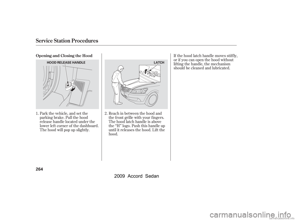 HONDA ACCORD SEDAN 2009  Owners Manual (in English) Park the vehicle, and set the 
parking brake. Pull the hood
release handle located under the
lower lef t corner of the dashboard.
The hood will pop up slightly.Reach in between the hood and
the f ront