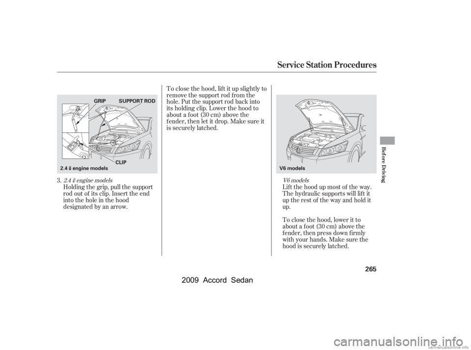 HONDA ACCORD SEDAN 2009  Owners Manual (in English) Holding the grip, pull the support 
rod out of its clip. Insert the end
into the hole in the hood
designated by an arrow.Lif t the hood up most of the way.
The hydraulic supports will lif t it
upthere