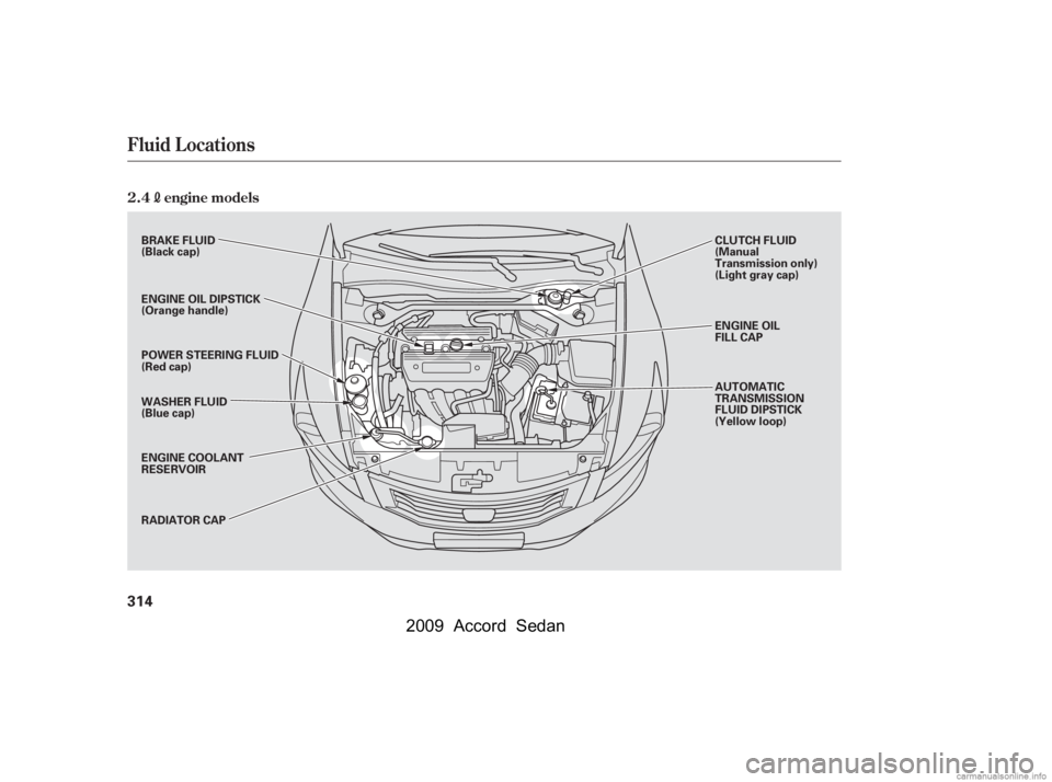 HONDA ACCORD SEDAN 2009  Owners Manual (in English) Fluid Locations
2.4engine models
314
ENGINE OIL 
FILL CAP 
CLUTCH FLUID 
(Manual
Transmission only)
(Light gray cap) 
AUTOMATIC 
TRANSMISSION
FLUID DIPSTICK
(Yellow loop)
BRAKE FLUID
(Black cap) 
ENGI